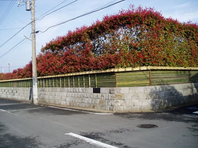石垣と生け垣の美