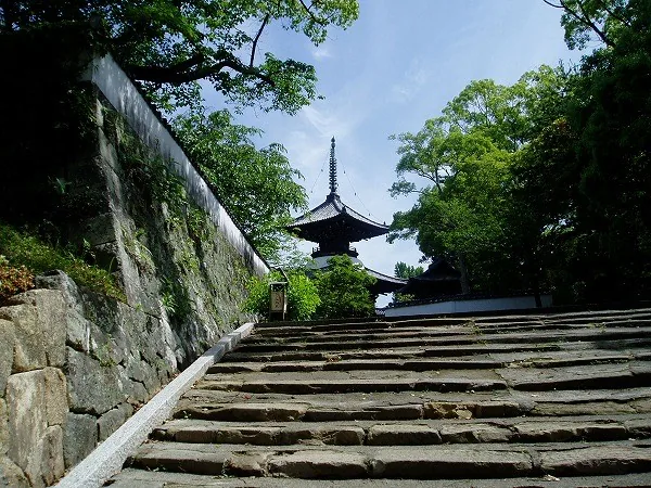 高山寺の多宝塔